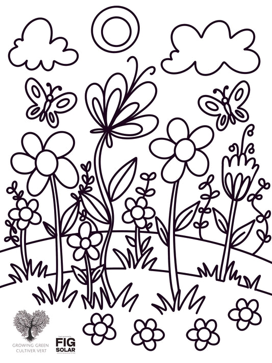 Coloring page with flowers, butterflies, and a sun. Spring Colouring Page, Free Printable Colouring Pages, Colouring Books